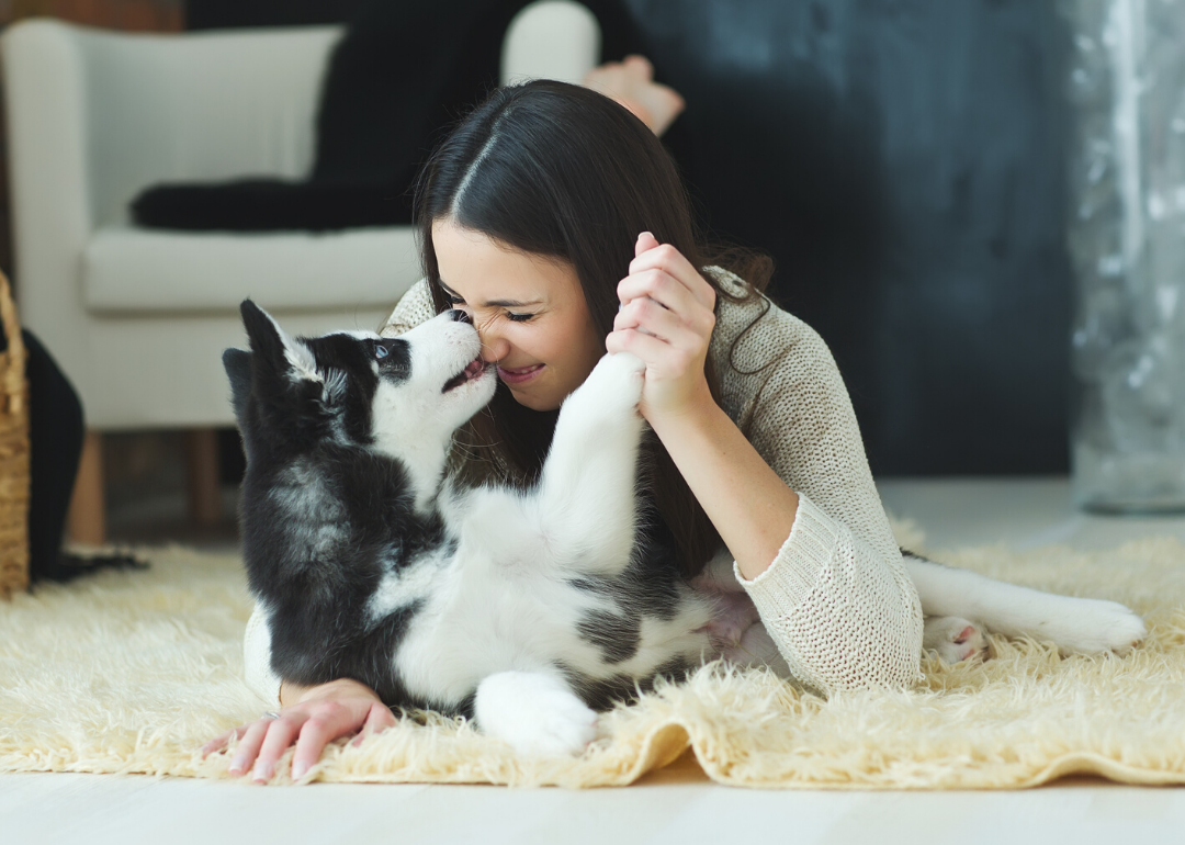 Your dog loves you for more than the treats